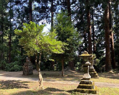 AF142147-48B0-4AC0-B07F-CF8DCAD7885E