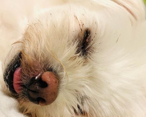 B9DE917A-9805-4479-AE05-A9345E77ACED