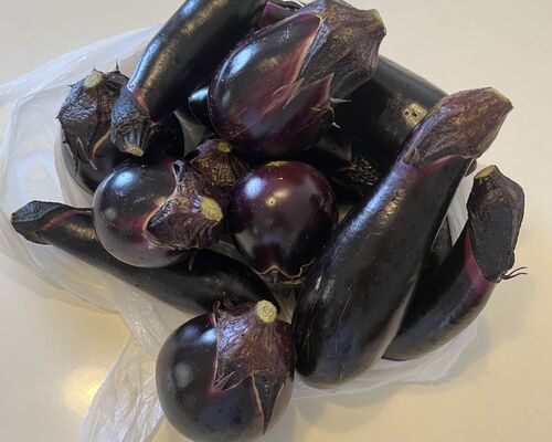 355BB069-4F28-4C23-B3DB-37DFD58FE4A6