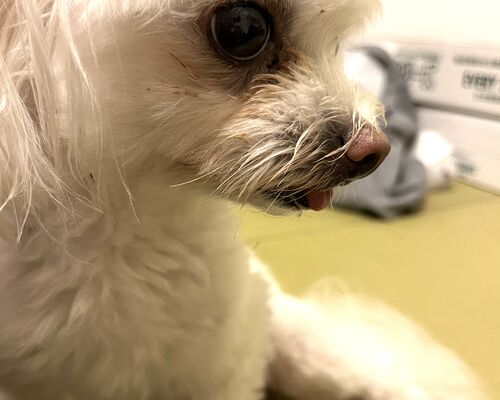 18A1A5DC-2DA4-4535-BA0F-39A0033F3A5E