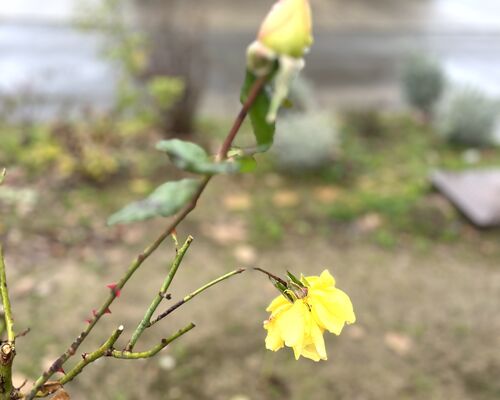 D20BD3EF-F46D-4A91-80E3-56CBB8B6E8B3