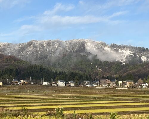 529713EA-3957-4C23-854C-90AF1AAE41D2