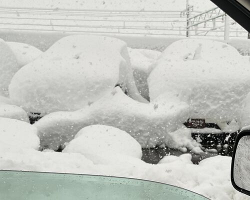 52581105-5C95-4622-8F3B-335331FE2864