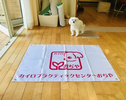 04A4FE90-3B46-42CD-9EC3-767E5E0F3802