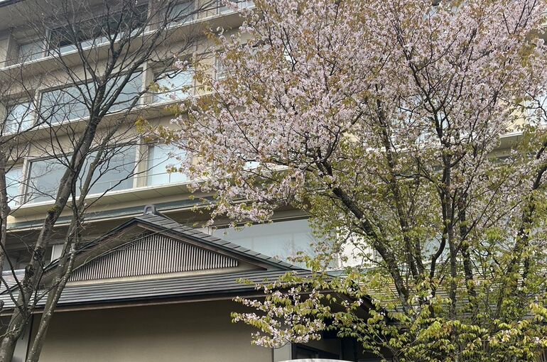 1466CE54-FA9A-4E04-8505-CA48BC698D43