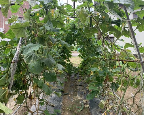 EC7C9DF4-29AD-4003-A001-6AC6A0910535