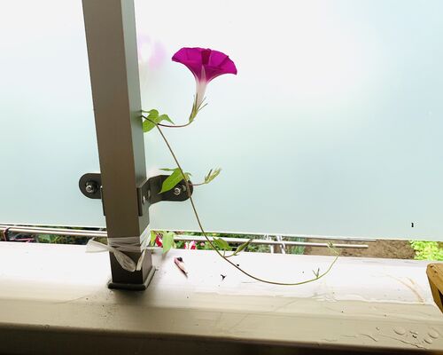 58F22864-9B77-404B-80C8-CF62AC1CA7CA