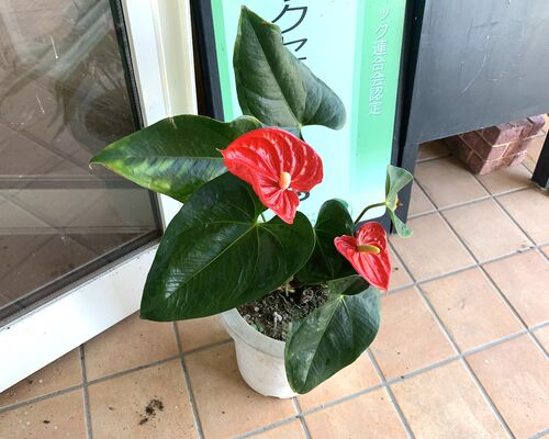 0F69346C-C69D-4512-8022-5BBC47E2934D