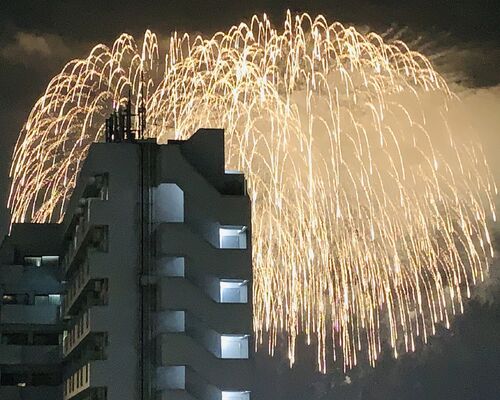 2F73CB4B-A858-409D-BD38-02DF502D5BDA