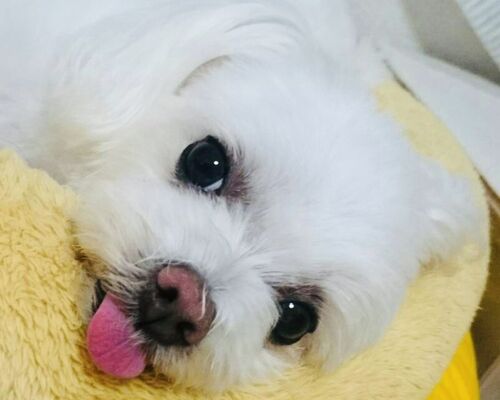 2F0706D4-227B-49CD-AF8A-AB3AF3185609