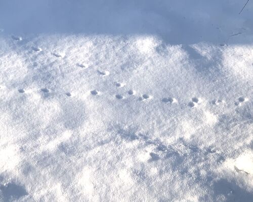 459A69AA-B87C-4FF5-BAD9-B1398DC1A731