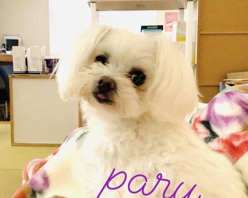 8CEBED78-894F-4B02-A2FE-299E68343A22