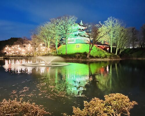 6FE32E4B-88EB-4077-916B-D242B6415E1D