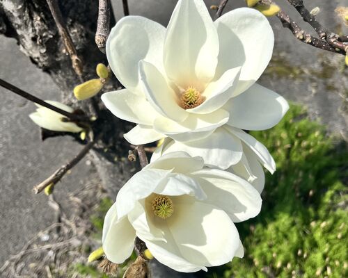 F99DB798-1C14-4EA1-B141-60F3E895752D