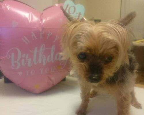 2B71A31D-EEF4-4989-842C-9D14A909771E