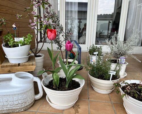 42EDEE98-77EA-4D3A-9E69-FA1C3C599D24