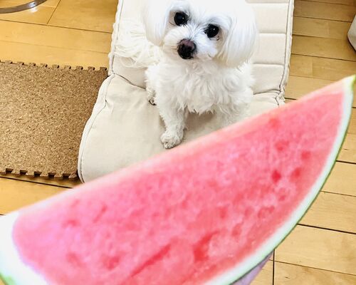 7A743996-02C8-48D7-9B5A-42498FEA58D3