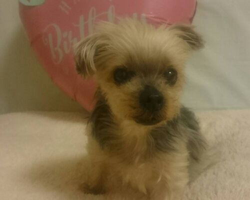 22001582-A5F4-4DF2-8591-394C00C1CA3E