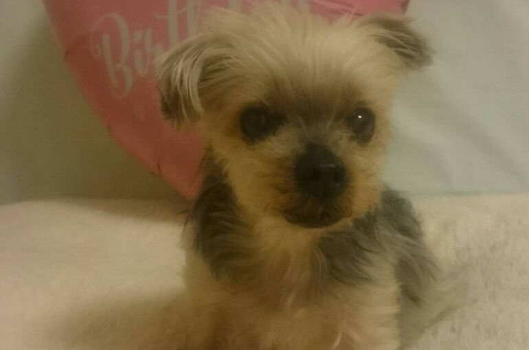 22001582-A5F4-4DF2-8591-394C00C1CA3E