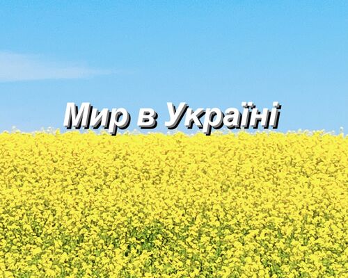 665602C6-CD2C-4A03-8B60-5B620B21BBB6